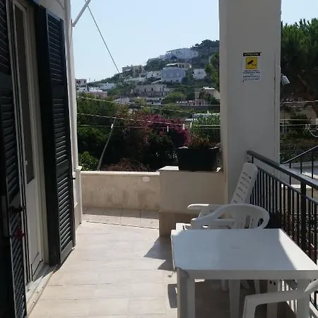La Dragonessa *